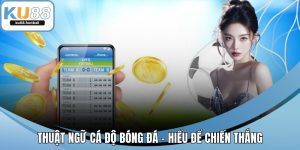 Thuật Ngữ Cá Độ Bóng Đá